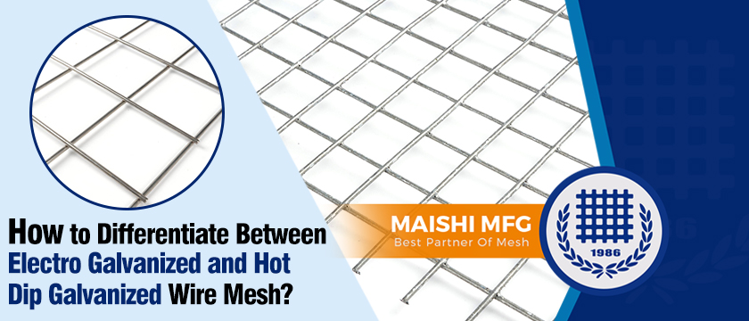 How to Differentiate Between Electro Galvanized and Hot Dip Galvanized Wire Mesh