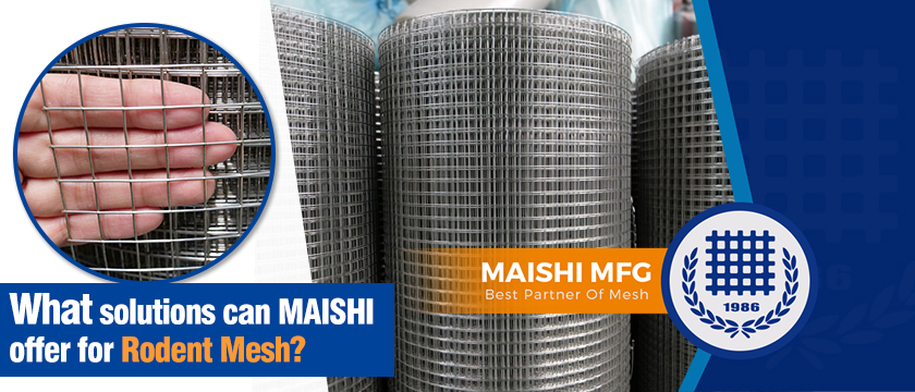 What solutions can MAISHI offer for Rodent Mesh