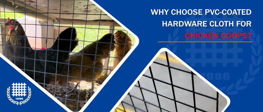 Why Choose PVC-Coated Hardware Cloth for Chicken Coops